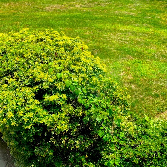 Meet your Posher, Joseph - Picture 1 of 1